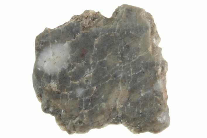 Lunar Meteorite ( g) Slice - Laayoune #381714